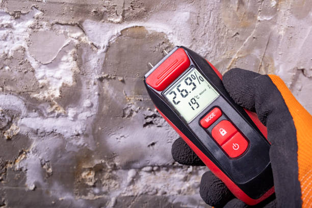 Best Certified Mold Removal  in Ingram, PA