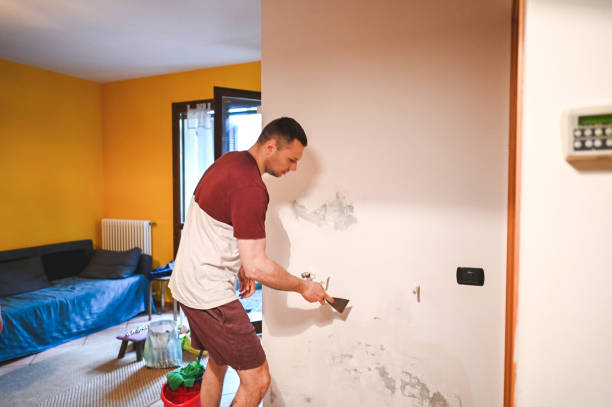 Best Fast Mold Removal  in Ingram, PA